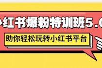 小红书爆粉特训班5.0，助你轻松玩转小红书平台价值1380元 - 中创网-中创网