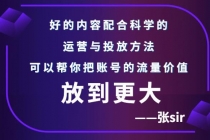 张sir账号流量增长课，告别海王流量，让你的流量更精准 - 中创网-中创网