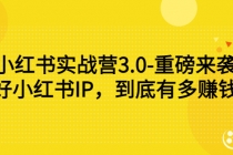 小红书实战营3.0-重磅来袭：做好小红书IP，到底有多赚钱？ - 中创网-中创网