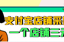 【信息差项目】支付宝店铺采集项目，只需拍三张照片，轻松日赚300-500 - 中创网-中创网