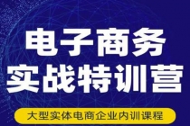 电子商务实战特训营，全方位带你入门电商，308种方式玩转电商 - 中创网-中创网