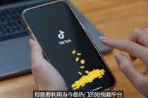 TIKTOK海外赚钱项目：不需录制视频 只需简单的剪辑 月赚3000到5000美元 - 中创网-中创网