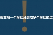 「粉丝裂变训练营」0-1-1w爆发式增长，24小时不断的涨粉-睡觉也在涨-16节课 - 中创网-中创网