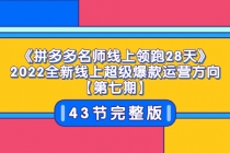 《拼多多名师线上领跑28天》2022全新线上超级爆款运营方向【第七期】43节课 - 中创网-中创网