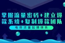 电商流量起爆体系：掌握流量密码+建立爆款系统+复制爆款团队 - 中创网-中创网
