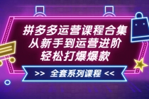 拼多多运营课程合集：从新手到运营进阶，轻松打爆爆款 - 中创网-中创网