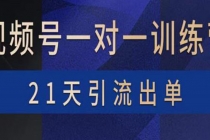 视频号训练营：带货，涨粉，直播，游戏，四大变现新方向，21天引流出单 - 中创网-中创网