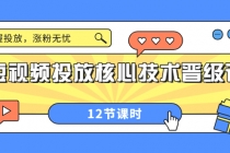 短视频投放核心技术晋级课：掌握投放，涨粉无忧 - 中创网-中创网