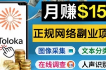 正规网络副业赚钱平台Toloka，利用业余时间月赚150美元 - 中创网-中创网