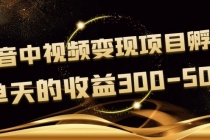 黄岛主《抖音中视频变现项目孵化》单天的收益300-500 操作简单粗暴 - 中创网-中创网