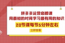 拼多多运营必修课：20节课每节5分钟左右，用最短的时间学习最有用的知识 - 中创网-中创网