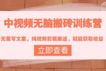 中视频无脑搬砖训练营：无需写文案，纯视频剪辑搬运，就能获取收益！ - 中创网-中创网