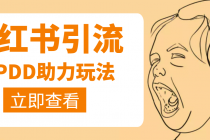 利用小红书卖拼多多助力，日赚100+，顺便还能引个流【视频课程】 - 中创网-中创网