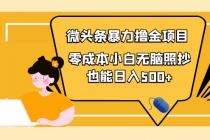 人人都能操作的微头条最新暴力撸金项目，零成本小白无脑搬运也能日入500+ - 中创网-中创网