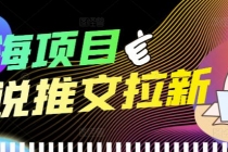 外面收费6880的小说推文拉新项目，个人工作室可批量做【详细教程】 - 中创网-中创网