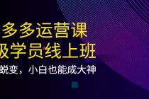 拼多多运营课：超级学员线上班，21天蜕变，小白也能成大神 - 中创网-中创网