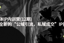 新媒体IP内训营(12期)，一套全新的“公域引流，私域成交”IP打法，直接带走 - 中创网-中创网