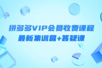 某社群·拼多多VIP会员收费课程，最新集训营+答疑课-价值3299元 - 中创网-中创网