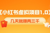 《小红书虚拟项目1.0》账号注册+养号+视频制作+引流+变现，几天就赚两三千 - 中创网-中创网