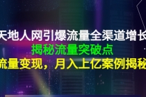 天地人网引爆流量全渠道增长：揭秘流量突然破点，流量变现，月入上亿案例 - 中创网-中创网
