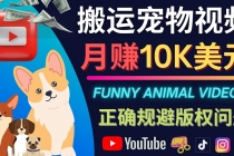 搬运TIKTOK视频到YouTube，并进行二次创作，月赚1万美元以上 - 中创网-中创网