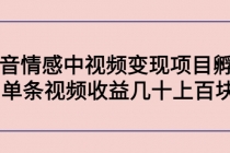 黄岛主副业孵化营第5期：抖音情感中视频变现项目孵化 单条视频收益几十上百 - 中创网-中创网