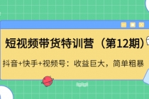 短视频带货特训营抖音+快手+视频号：收益巨大，简单粗暴！ - 中创网-中创网