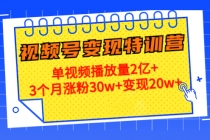 20天视频号变现特训营：单视频播放量2亿+3个月涨粉30w+变现20w+ - 中创网-中创网