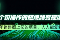 五个可操作的短视频变现项目：年销售额上亿的项目，人人能复制 - 中创网-中创网