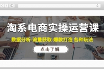 淘系电商实操运营课：数据分析-流量获取-爆款打造 各种玩法 - 中创网-中创网