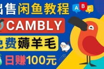 闲鱼赚钱小技巧，每单净赚10元，日赚100元 - 出售Cambly注册教程 - 中创网-中创网