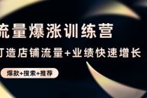流量爆涨训练营：打造店铺流量+业绩快速增长 (爆款+搜索+推荐) - 中创网-中创网