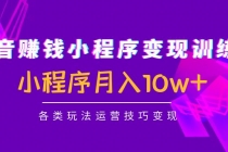 抖音赚钱小程序变现训练营：小程序月入10w+各类玩法运营技巧变现 - 中创网-中创网