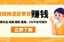 短视频带货赚钱混剪特训营：无需囤货发货 拍摄 露脸 直播，4大平台可操作 - 中创网-中创网