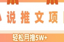 小说推文副业赚钱项目，另类进阶玩法，轻松月撸5W+ - 中创网-中创网
