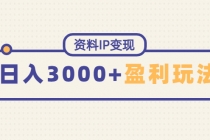 资料IP变现，能稳定日赚3000起的持续性盈利玩法 - 中创网-中创网