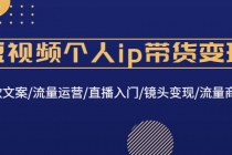 短视频个人ip带货变现：爆款文案/流量运营/直播入门/镜头变现/流量商业 - 中创网-中创网