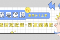 2023头条号实操变现课：新手0-1轻松上手，快速获取收益-可批量操作 - 中创网-中创网