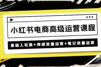 小红书电商高级运营课程：基础入驻篇+商城流量运营+笔记流量运营 - 中创网-中创网