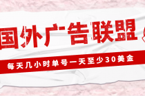 外面收费1980最新国外LEAD广告联盟搬砖项目，单号一天至少30美金(详细教程) - 中创网-中创网