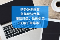 拼多多训练营：各玩法合集，爆款打造，低价引流，7天破千单等等！ - 中创网-中创网