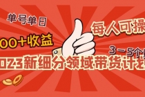 2023新细分领域带货计划：单号单日1000+收益不难，每人可操作3-5个账号 - 中创网-中创网