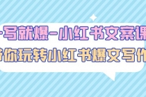 一写就爆-小红书文案课：带你玩转小红收爆文写作 - 中创网-中创网