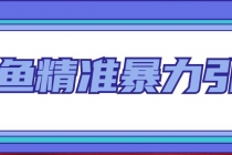 闲鱼精准暴力引流全系列课程，每天被动精准引流200+客源技术 - 中创网-中创网