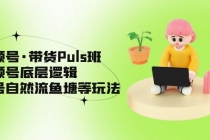 视频号·带货Puls班，视频号底层逻辑，起号自然流鱼塘等玩法 - 中创网-中创网