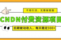 CNDN付费资源项目，不用引流，无需做客服，后期被动收入，每天稳定300+ - 中创网-中创网