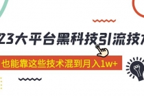 价值4899的2023大平台黑科技引流技术 小白也能靠这些技术混到月入1w+29节课 - 中创网-中创网