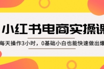 小红书·电商实操课：每天操作3小时，0基础小白也能快速做出爆款！ - 中创网-中创网