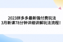 2023拼多多最新强付费玩法，3月新课​78分钟详细讲解玩法流程！ - 中创网-中创网