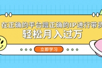 在正确的平台蹭正确的IP进行带货，轻松月入过万 - 中创网-中创网